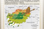 «Афганистан - интернациональный долг»